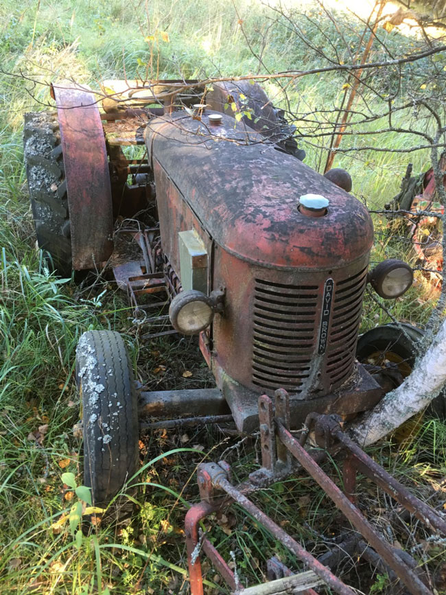 Maatalous on kuitenkin 1900-luvun kuluessa hiipunut
