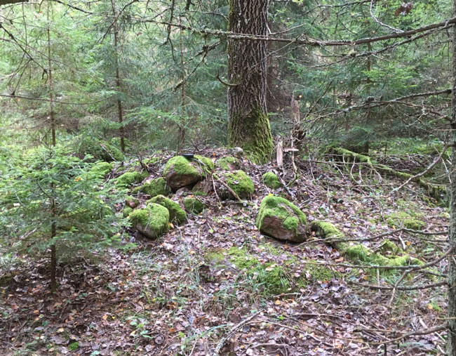 Skagetin kuusikoissa on joskus ollut pelto.