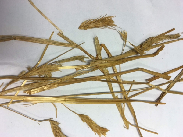 Ruista oli käytetty sohvan sekä nojatuolin täytteenä.